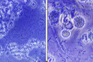 TEST course image