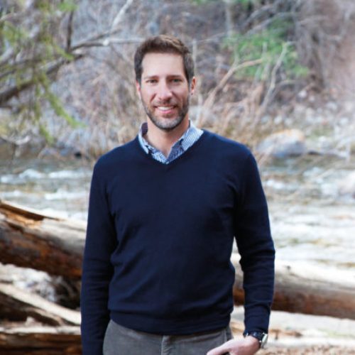 dr-turchin dr-turchin